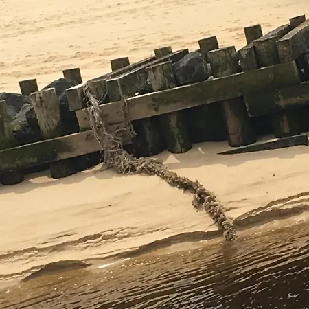 Le Neptune Apartament *