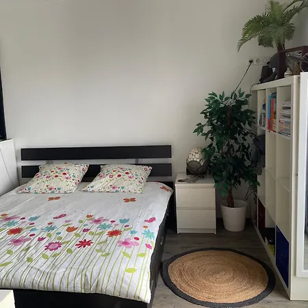 Apartament Le Neptune *