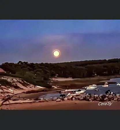 Le Neptune Apartamento