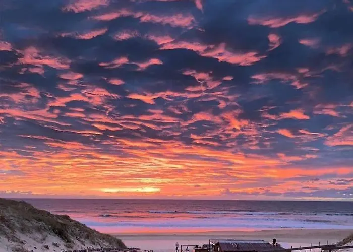 Le Neptune דירה *