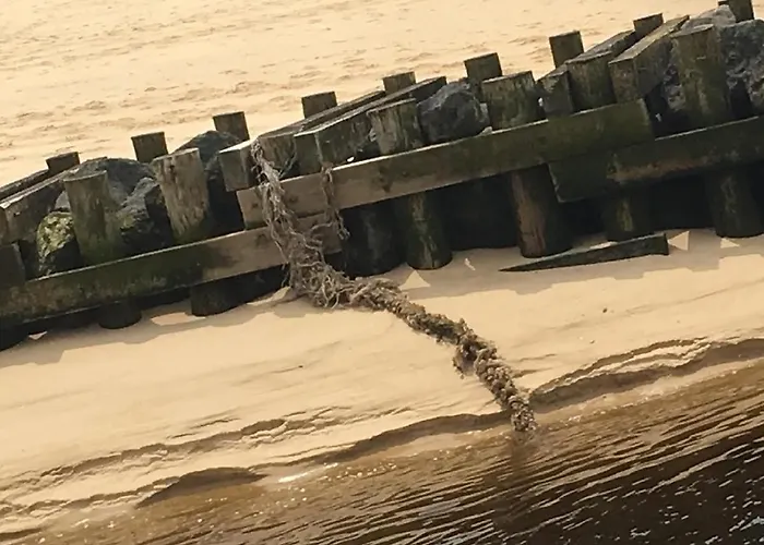 Le Neptune דירה *